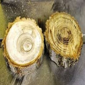 معایب طبیعی چوب